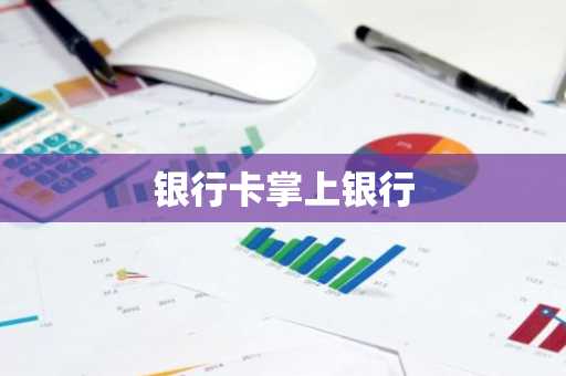 银行卡掌上银行