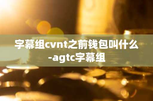 字幕组cvnt之前钱包叫什么-agtc字幕组