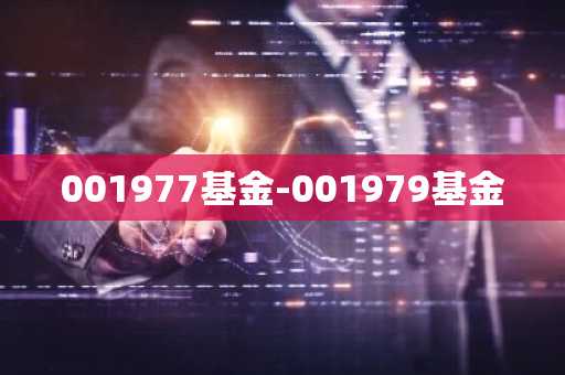 001977基金-001979基金