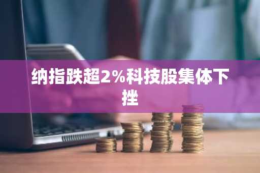 纳指跌超2%科技股集体下挫