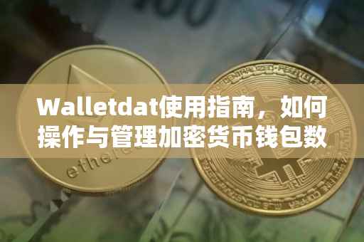 Walletdat使用指南，如何操作与管理加密货币钱包数据