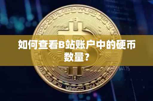如何查看B站账户中的硬币数量？
