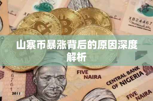 山寨币暴涨背后的原因深度解析