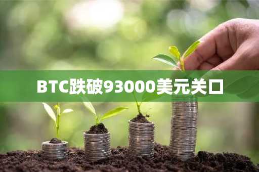 BTC跌破93000美元关口