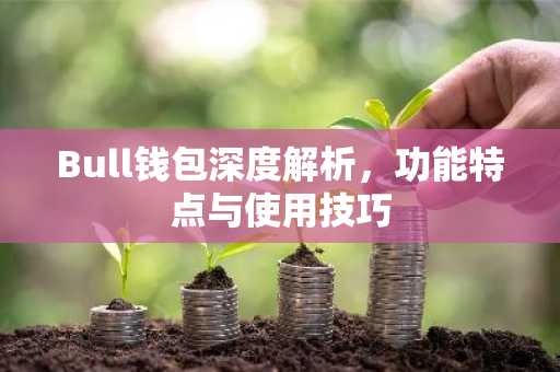 Bull钱包深度解析，功能特点与使用技巧