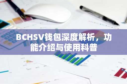BCHSV钱包深度解析，功能介绍与使用科普