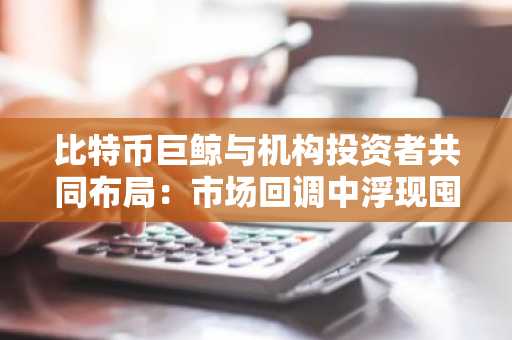 比特币巨鲸与机构投资者共同布局：市场回调中浮现囤积型投资机遇
