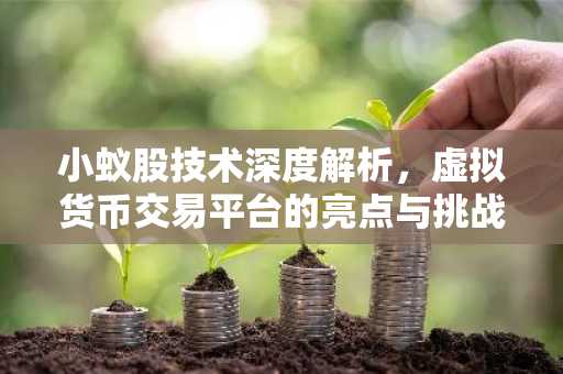 小蚁股技术深度解析，虚拟货币交易平台的亮点与挑战