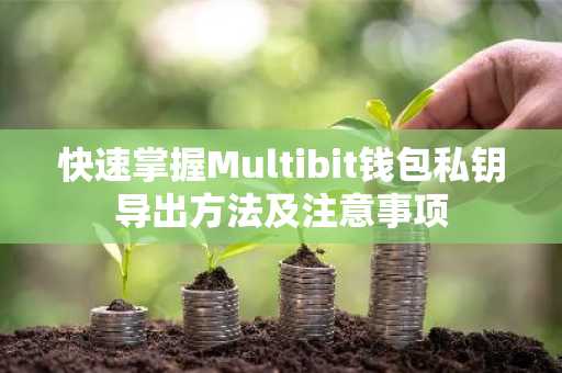 快速掌握Multibit钱包私钥导出方法及注意事项