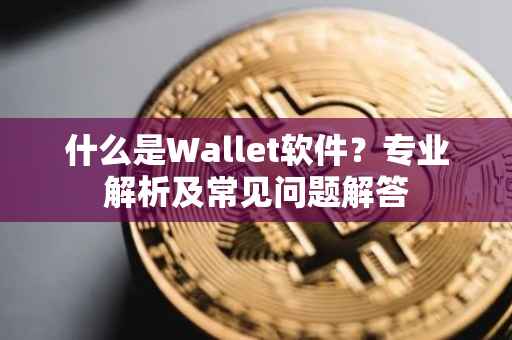 什么是Wallet软件？专业解析及常见问题解答