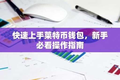 快速上手莱特币钱包，新手必看操作指南