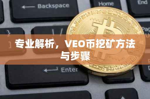 专业解析，VEO币挖矿方法与步骤