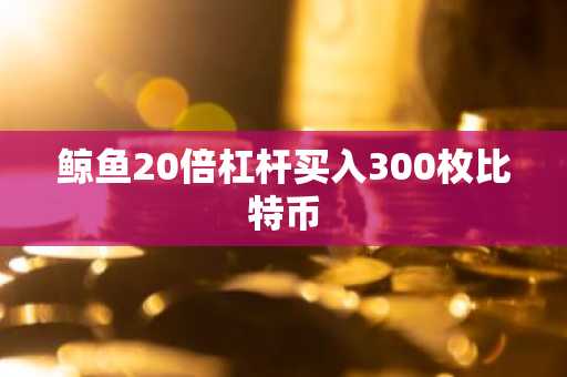鲸鱼20倍杠杆买入300枚比特币