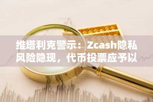 维塔利克警示：Zcash隐私风险隐现，代币投票应予以抵制