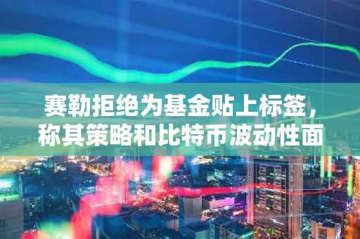 赛勒拒绝为基金贴上标签，称其策略和比特币波动性面临新的审查