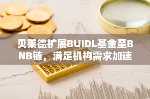 贝莱德扩展BUIDL基金至BNB链，满足机构需求加速增长
