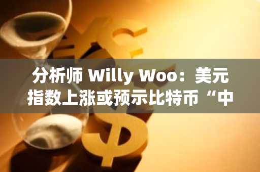 分析师 Willy Woo：美元指数上涨或预示比特币“中期周期放缓”