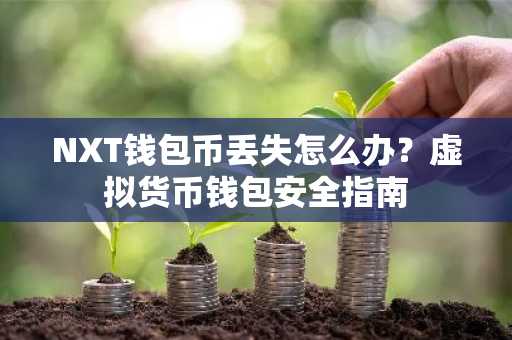NXT钱包币丢失怎么办？虚拟货币钱包安全指南