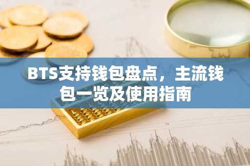 BTS支持钱包盘点，主流钱包一览及使用指南