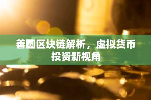 善圆区块链解析，虚拟货币投资新视角