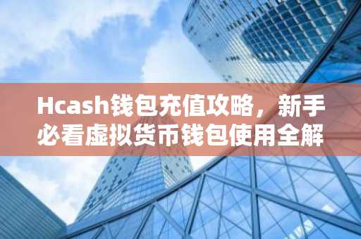 Hcash钱包充值攻略，新手必看虚拟货币钱包使用全解析