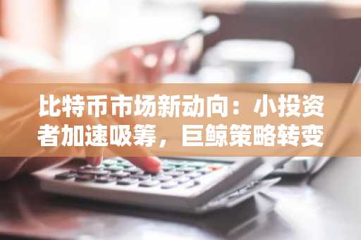 比特币市场新动向：小投资者加速吸筹，巨鲸策略转变