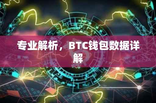 专业解析，BTC钱包数据详解