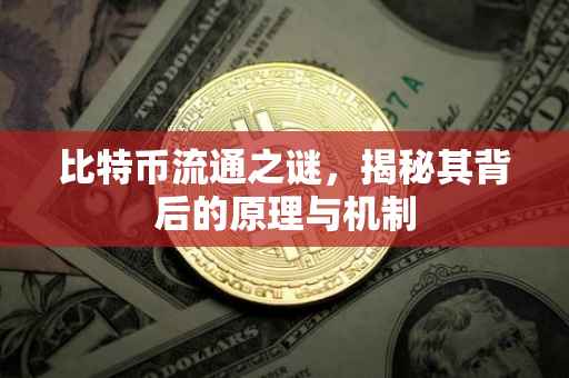 比特币流通之谜，揭秘其背后的原理与机制