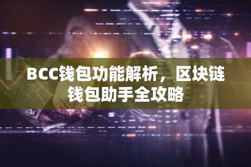 BCC钱包功能解析，区块链钱包助手全攻略