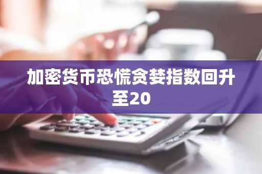 加密货币恐慌贪婪指数回升至20