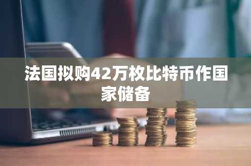 法国拟购42万枚比特币作国家储备