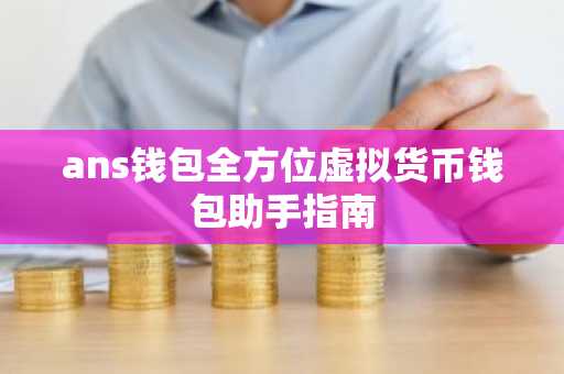 ans钱包全方位虚拟货币钱包助手指南