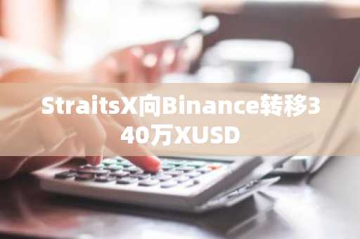 StraitsX向Binance转移340万XUSD