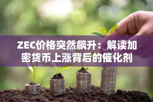 ZEC价格突然飙升：解读加密货币上涨背后的催化剂