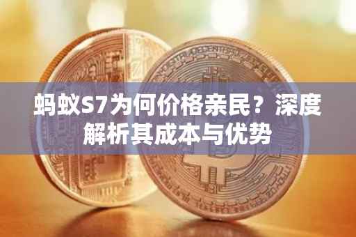 蚂蚁S7为何价格亲民？深度解析其成本与优势