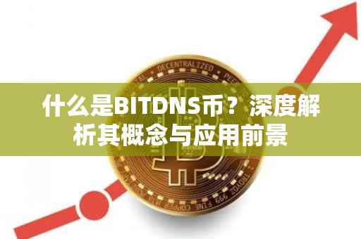 什么是BITDNS币？深度解析其概念与应用前景