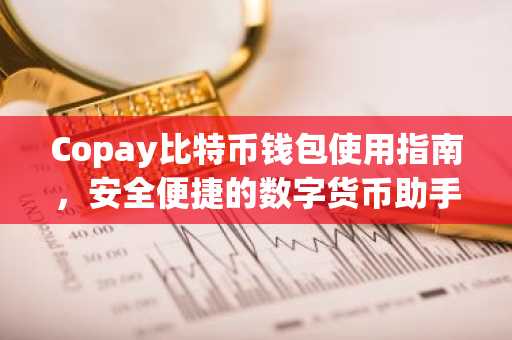 Copay比特币钱包使用指南，安全便捷的数字货币助手