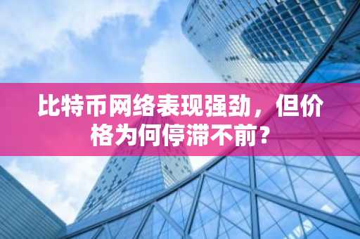 比特币网络表现强劲，但价格为何停滞不前？