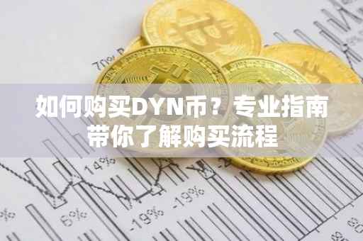 如何购买DYN币？专业指南带你了解购买流程
