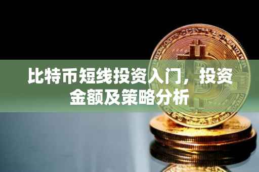 比特币短线投资入门，投资金额及策略分析
