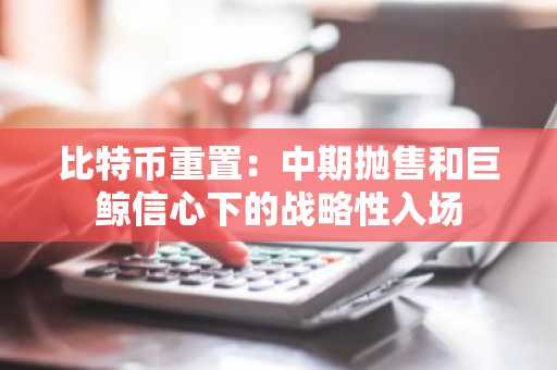 比特币重置：中期抛售和巨鲸信心下的战略性入场