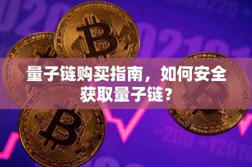 量子链购买指南，如何安全获取量子链？