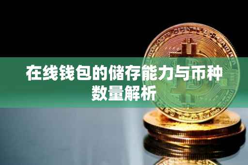 在线钱包的储存能力与币种数量解析