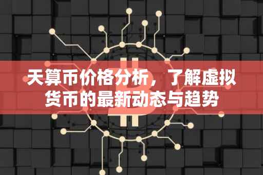 天算币价格分析，了解虚拟货币的最新动态与趋势