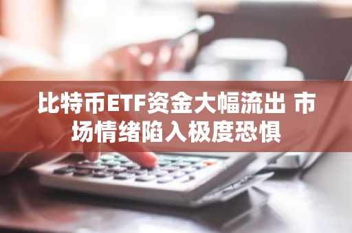 比特币ETF资金大幅流出 市场情绪陷入极度恐惧