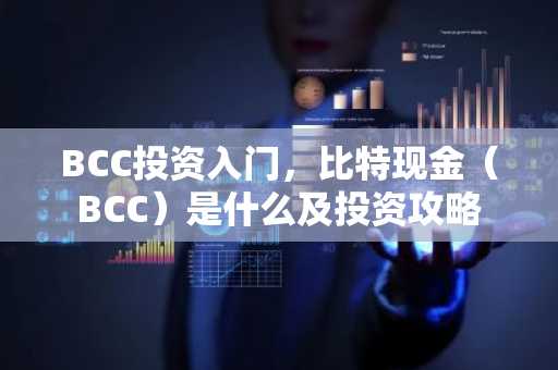 BCC投资入门，比特现金（BCC）是什么及投资攻略
