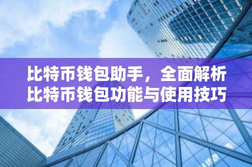 比特币钱包助手，全面解析比特币钱包功能与使用技巧