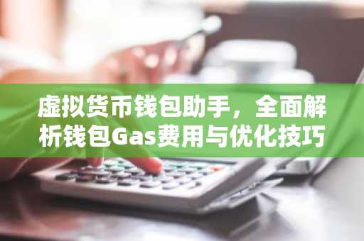 虚拟货币钱包助手，全面解析钱包Gas费用与优化技巧