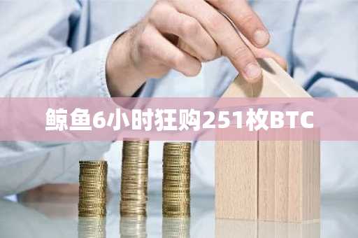 鲸鱼6小时狂购251枚BTC