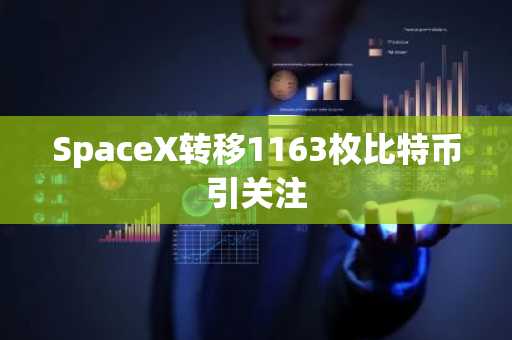 SpaceX转移1163枚比特币引关注